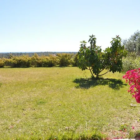 Azienda Agricola Nannini Farm stay
