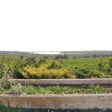 Azienda Agricola Nannini Farm stay